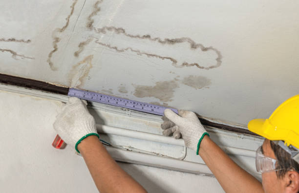 Reliable Basement Water Removal contractor in Culloden, WV by Water Damage Irwin
